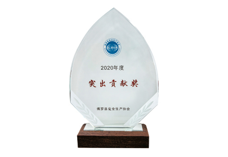 博罗县安全生产协会 2020突出贡献奖